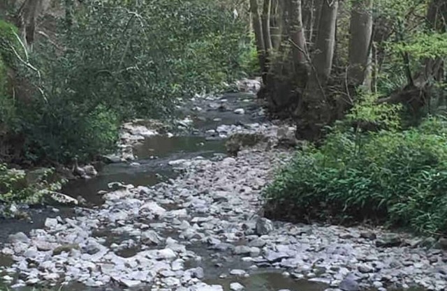 Charming 5* Georgian Townhouse + Sauna sleeps 6