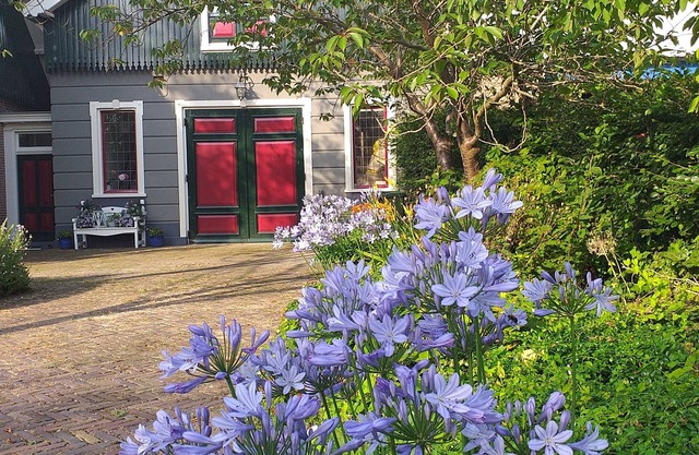Charming and luxuriously furnished coach house on the Beemster ring canal