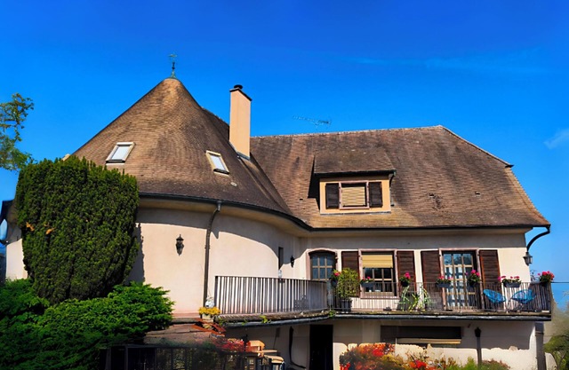 Charming apartment in our manor house in central Alsace.