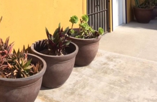 Charming apartment in Ensenada beach