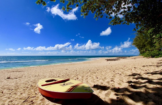 Charming Beach Hideaway Short Walk To Rocky Point