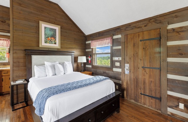 Charming Blue Ridge Cabin with Jacuzzi and Mountain Views-Cabin 2