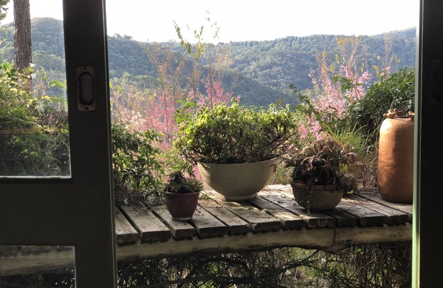 Charming cottage in the Serra da Mantiqueira - Altiplano do Baú
