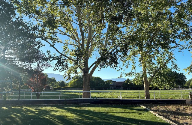 Charming Corrales Adobe: Family-friendly, a tranquil and luxurious getaway.