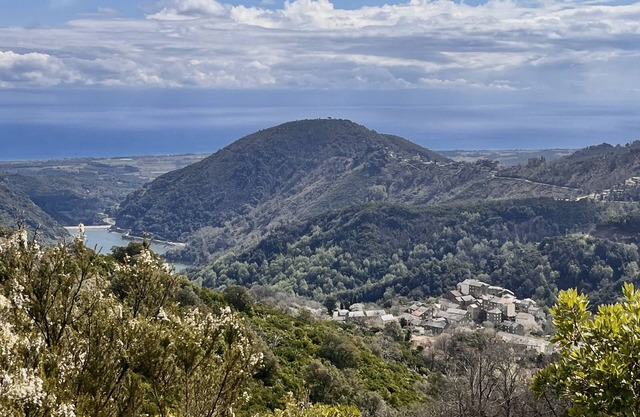 Charming Corsican house