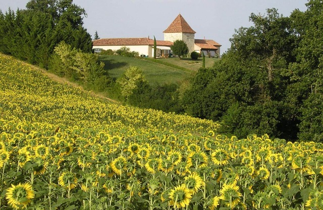 Charming cottage for 6 people, in a beautiful property, in the countryside, Wifi