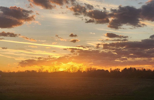 Charming cottage in amazing Williamson with WiFi, AC