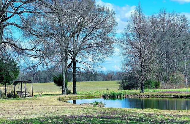 Charming country getaway in W. TN sleeps 6. Family & Pet friendly near Blue Oval