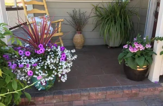 Charming cozy cottage downtown Petaluma