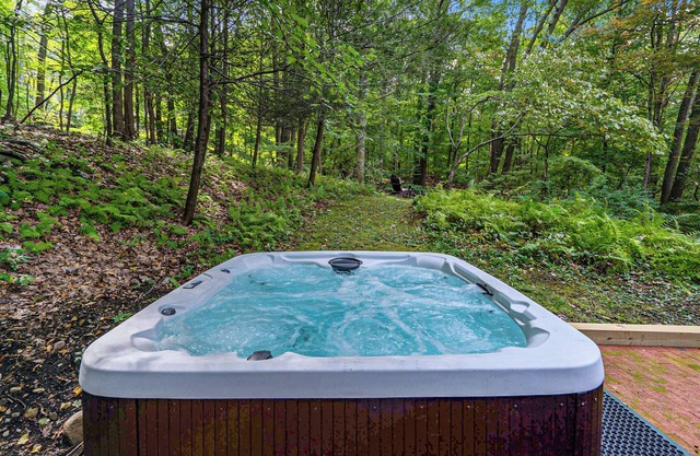 Charming Forest Getaway near West Point & Storm King