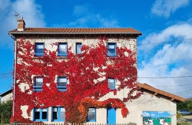 Charming Cottage: 4 Bedrooms, Fireplace, Enclosed Courtyard & Garage in Tranquil Village