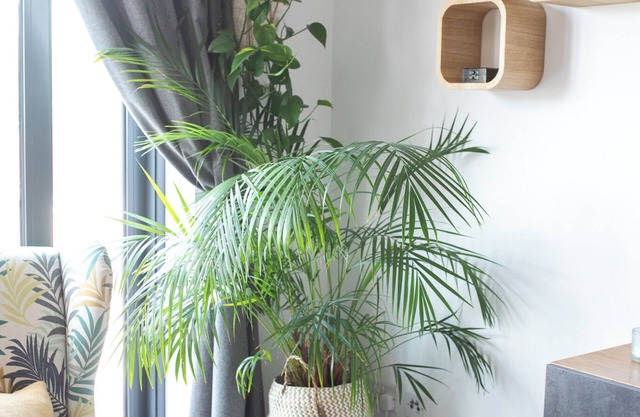 Charming garden apartment centrally located with free parking