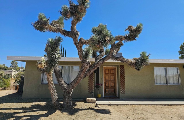 Charming home in the heart of the Joshua Tree forest! Relax High Desert style.