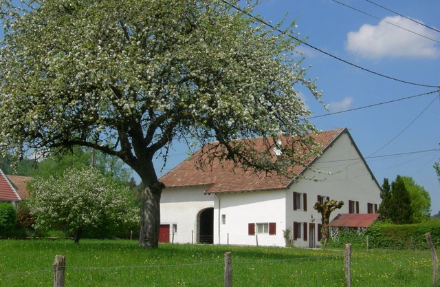 Charming HOUSE COMTOISE, spacious, large garden, private parking