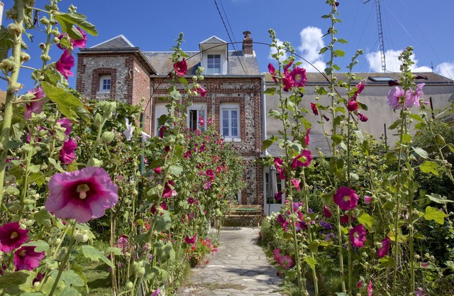 Charming house, flower garden, in Yport, 50m from the sea, 10km from Etretat