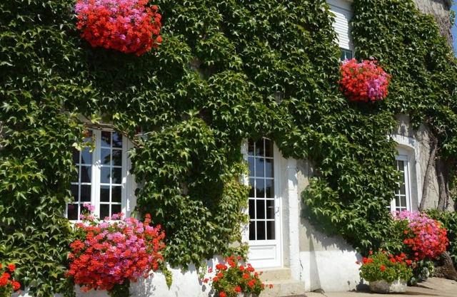 Charming House in Peaceful Normandy Countryside, Near Beaches, Pet-Friendly, and Full Amenities