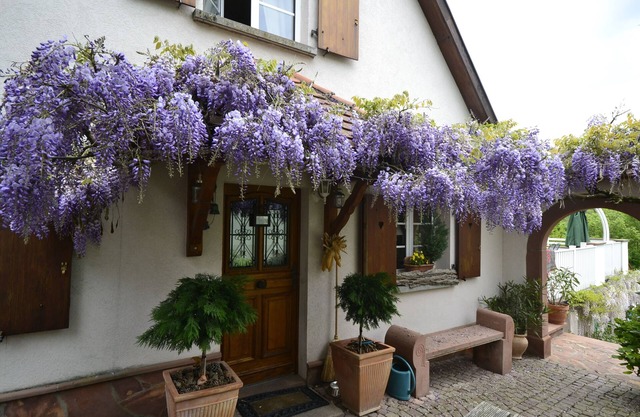 Charming house with private pool 4 ⭐️