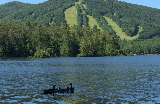 Charming Waterfront Cabin with Mountain View and Private Beach Access!