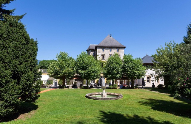 Chateau Authentique avec piscine dans les Vignes