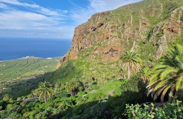 CHC - LOS VIÑEDOS Tierra del Trigo