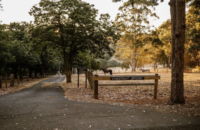 Chestnut Brook Guesthouse