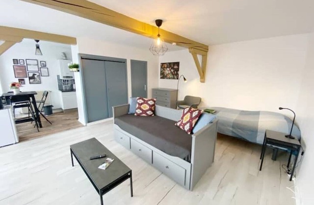 CHIC & COSY Studio BUSINESS Centre GARE NETFLIX