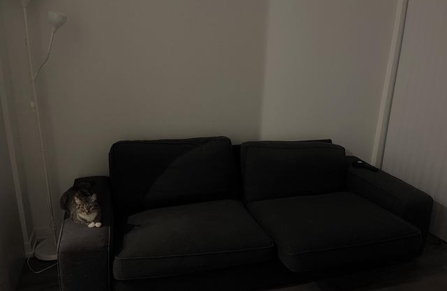 "Chic Retreat: Pet & Smoke-Friendly, Balcony Views, Prime Location!"