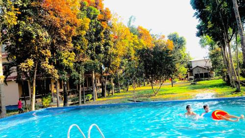 Chitwan Forest Resort , Chitwan National Park