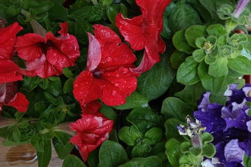 City Center Studio -Braga