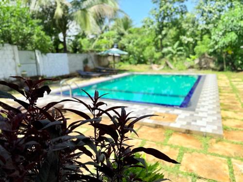 City View Safari Resort