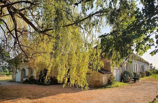 Clair de Vigne