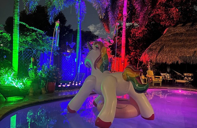 Clothes optional Tranquil Private room Paradise. In Fort Lauderdale. LGBTQ+ ❤️