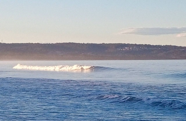 Coast and Country Getaway - peaceful and lush and only 10 minutes from the beach