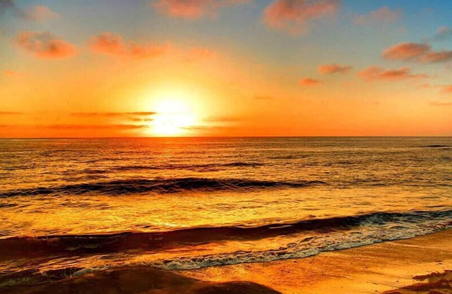Coastal Beachfront Condo~Turtles Nest, West