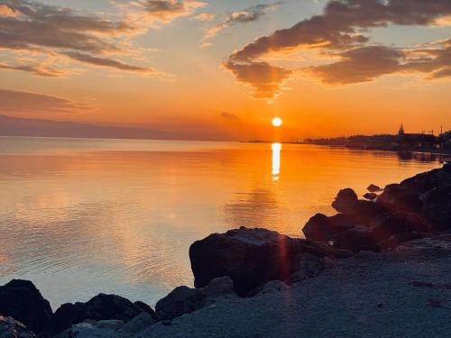 Coastal Dream