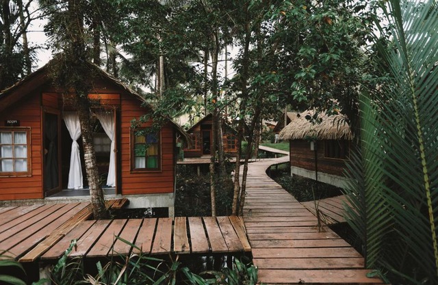 Coco Camping Koh Kood