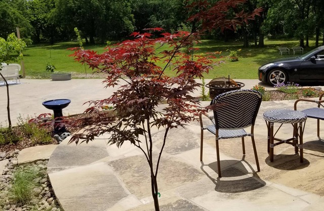 Colleyville near DFW, shopping,sports venues, tranquil and private