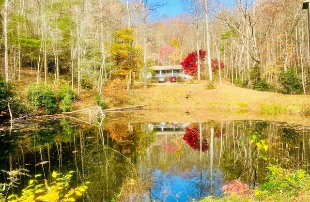Come relax at Duck Pond Mountain Retreat w/stream & pond on 9 acres