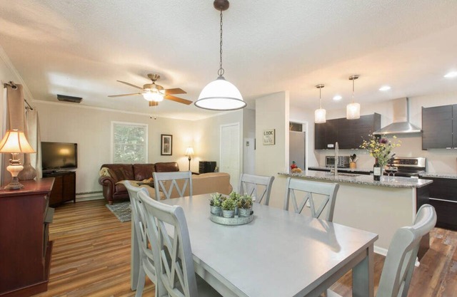 Come to Asheville! Treetop Mountain Views In Downtown AVL - FP, Dog Friendly!