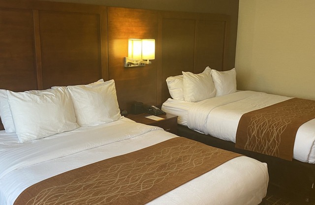 Comfort Inn - Springfield
