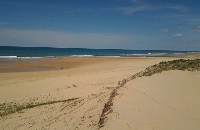 Comfortable chalet with private garden 4 km from the ocean in the Landes forest