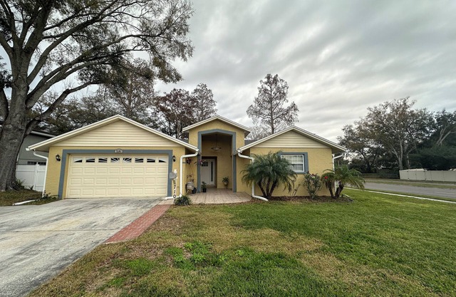 Comfortable home in Tampa with Saltwater Pool