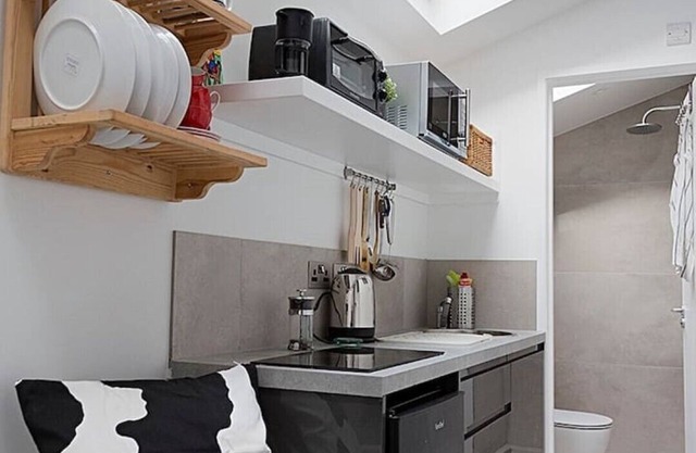 Comfortable Luxe Micro Apartment