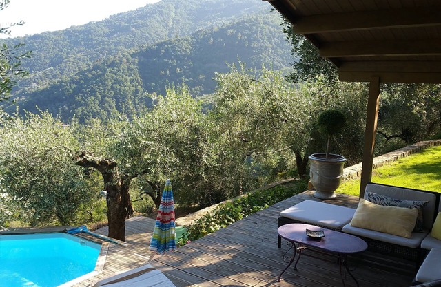 Comfortable wooden tiny house with private pool in an olive grove.