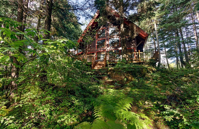 Comfy chalet with private hot tub, 2 fireplaces - near trails & slopes, dogs OK