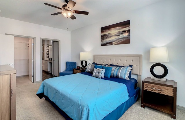 Comfy & Cozy, Close to Disney