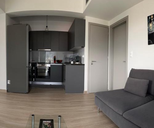 Comfy Vista Apartment