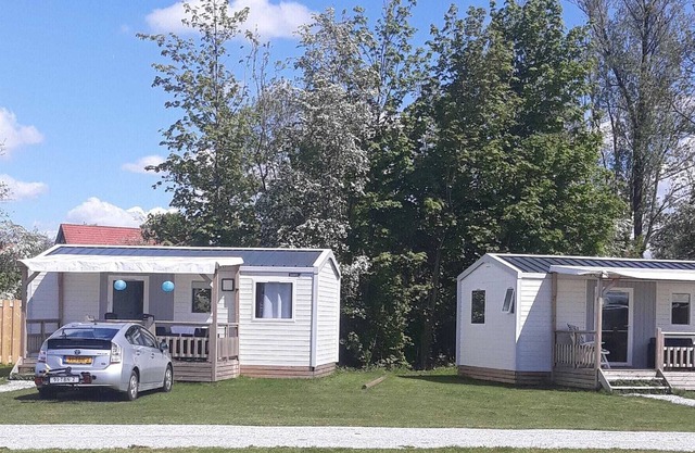 Compact 4 person chalet in Friesland