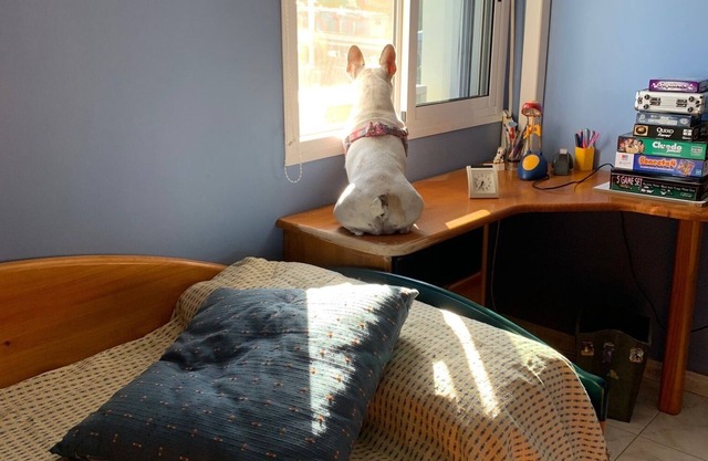 Complete house with views and leisure space