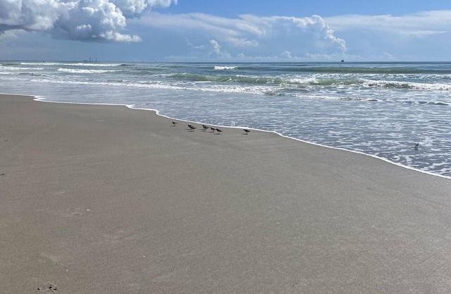 Completely Renovated Cozy & Quaint Condo Steps to Beach